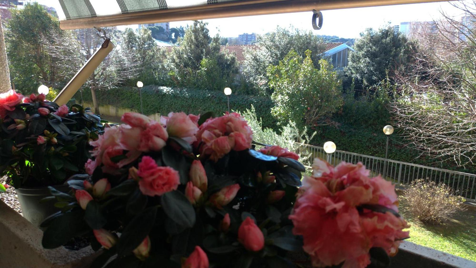 Azimuth - Holiday And Business Roma Esterno foto